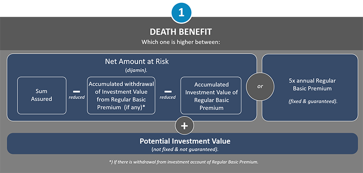 Premium Wealth Assurance