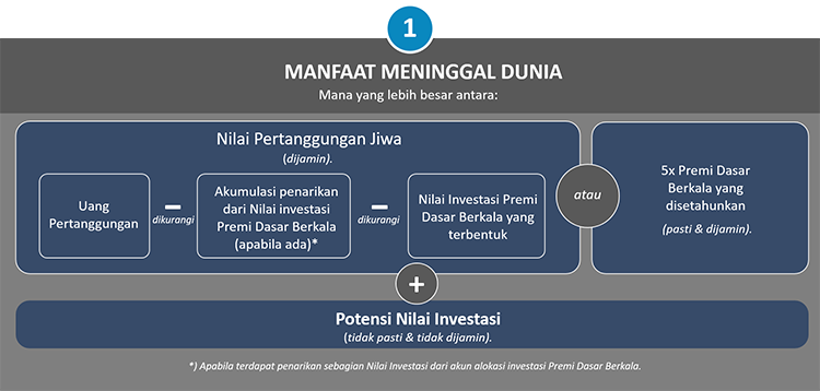 Premium Wealth Assurance